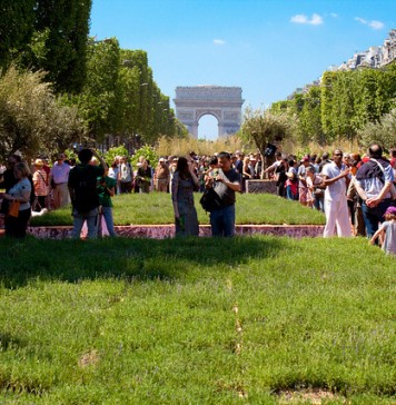 champs elysees verts