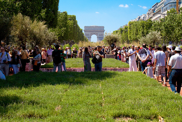 champs elysees verts