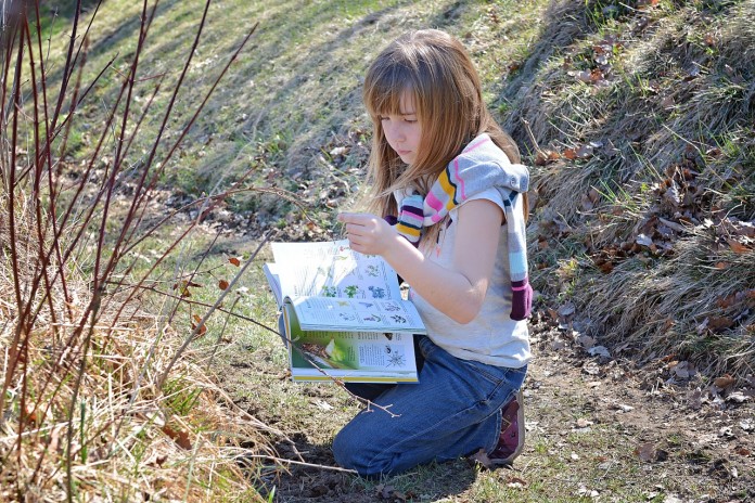 enfant-nature-decouverte