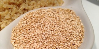 recettes de quinoa