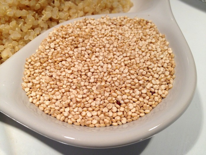 recettes de quinoa