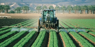 pesticides-ou-manger-bio