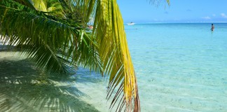 tahiti hotel brando