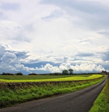 peut-on vivre à la campagne sans voiture