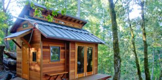 Une Tiny House dans les bois