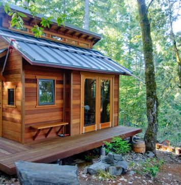 Une Tiny House dans les bois