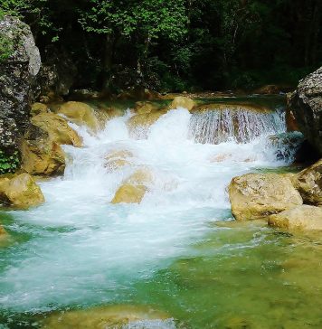 Biovallée développement durable