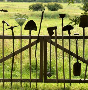 la rentrée au jardin