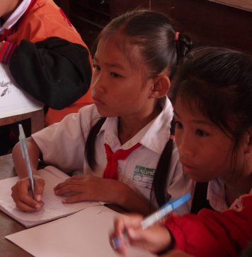 enseignement développement durable