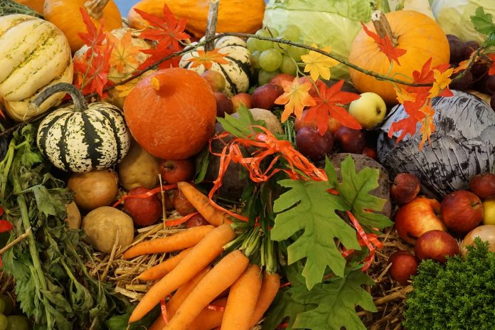 bienfaits des légumes d'automne