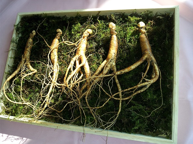 ginseng