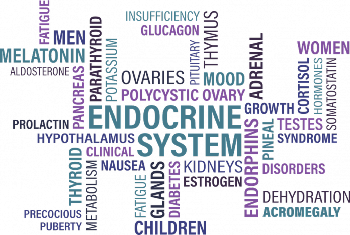 perturbateurs endocriniens