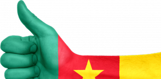 AGRIPO Cameroun