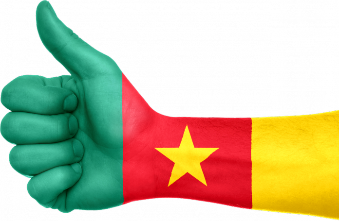 AGRIPO Cameroun