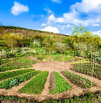 pesticides une consofutur