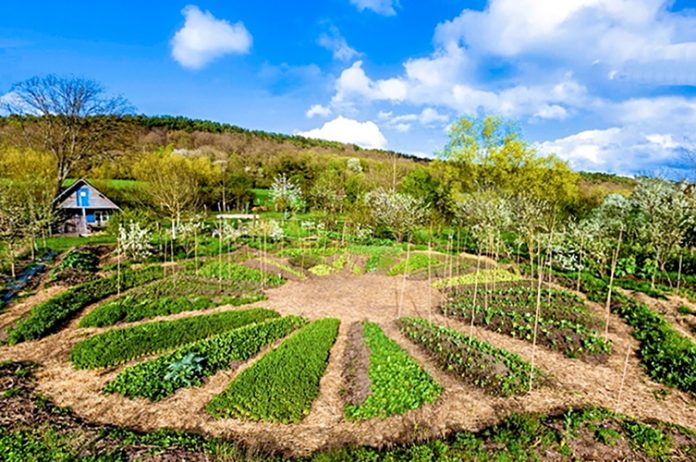 pesticides une consofutur