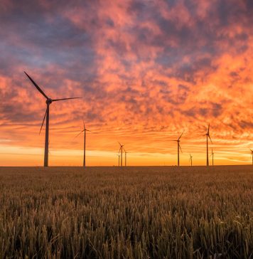 eoliennes, transition écologique