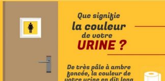 infographie urine