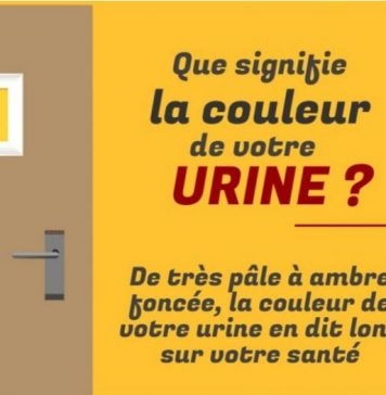 infographie urine