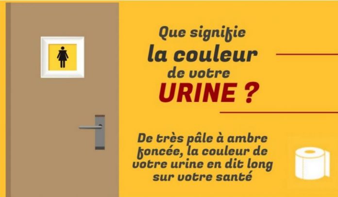 infographie urine