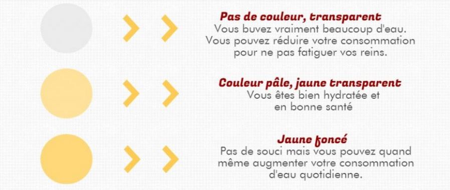 infographie urine couleurs jaunes