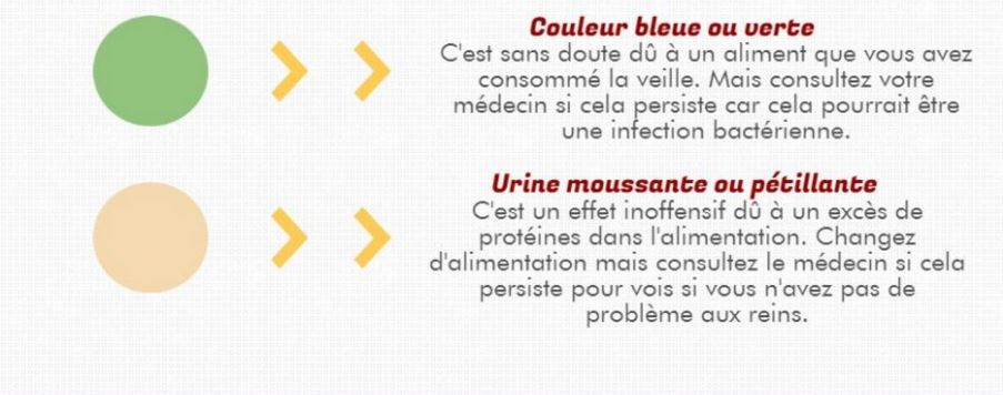 infographie urine couleurs inquietantes