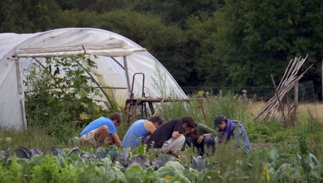 la ZAD un projet agricole