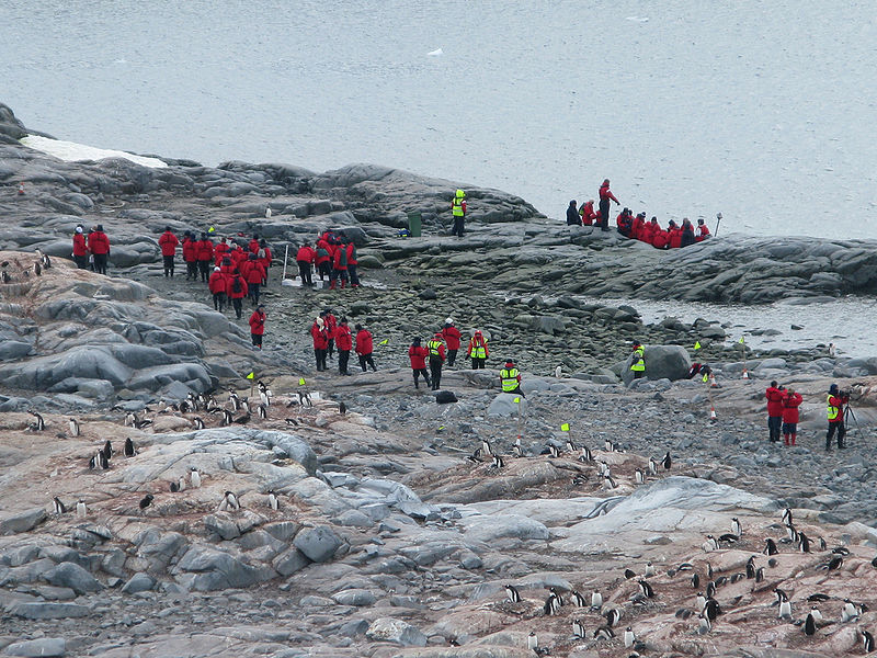 Tourisme en Antarctique Cuverville island