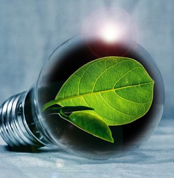 les avantages de l’énergie verte