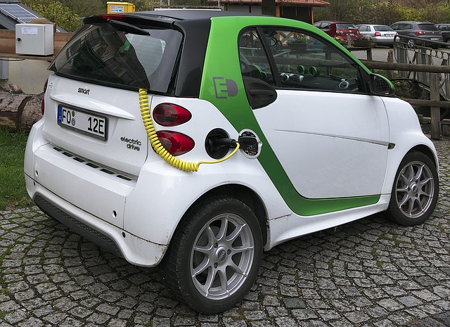 voiture électrique et terres rares