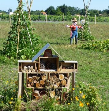 permaculture dans les quartiers entre voisins