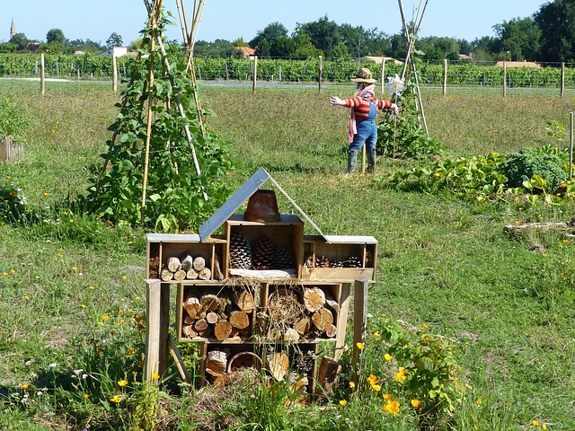 permaculture dans les quartiers entre voisins