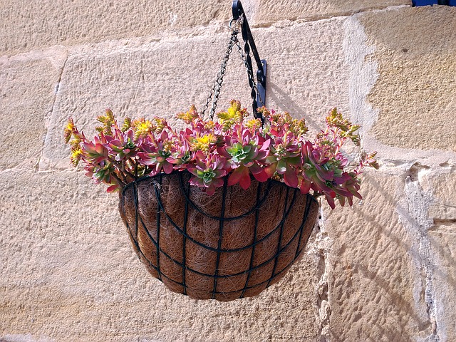 pot de fleurs fibre de coco