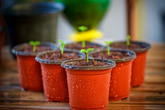 pots de fleurs en plastique pas écologiques