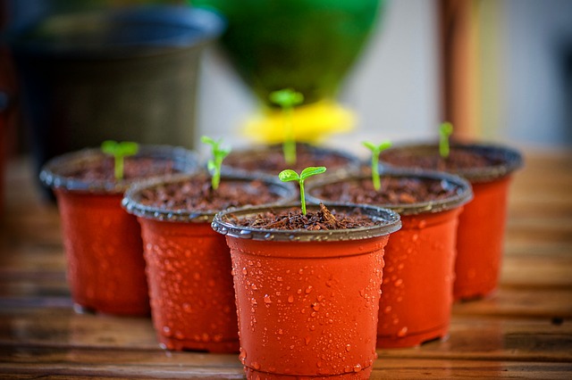 pots de fleurs en plastique pas écologiques