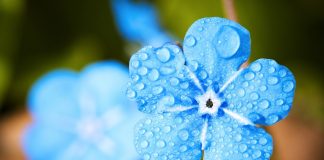 Recycler l'eau de pluie