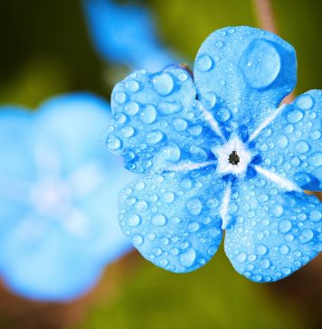 Recycler l'eau de pluie