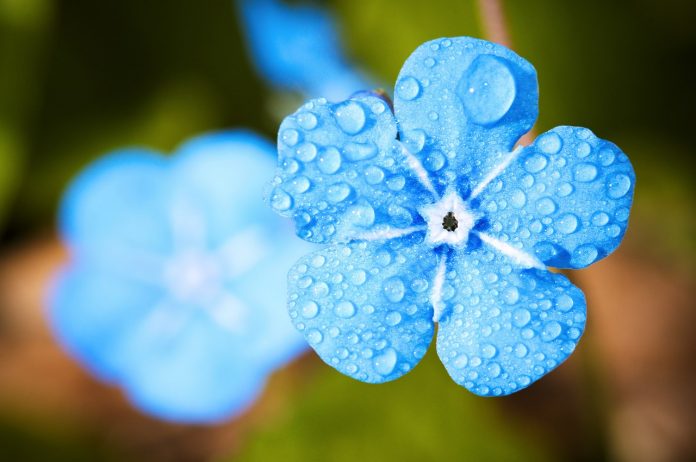 Recycler l'eau de pluie