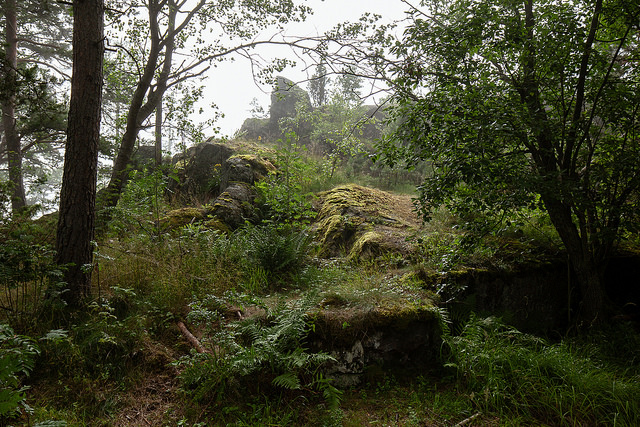 promenade en Finlande à proximité de la cabane Nolla