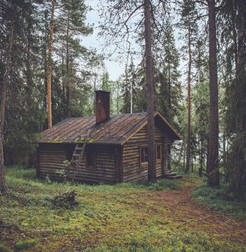 Une cabane écologique