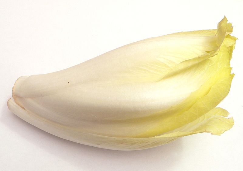 Endive légume de mars