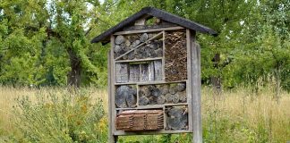 hôtel à insectes auxiliaires