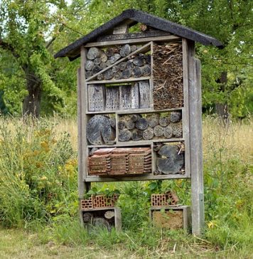 hôtel à insectes auxiliaires