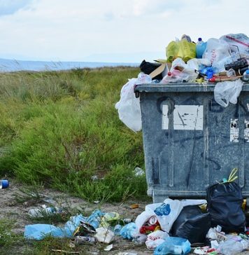 microplastiques partout