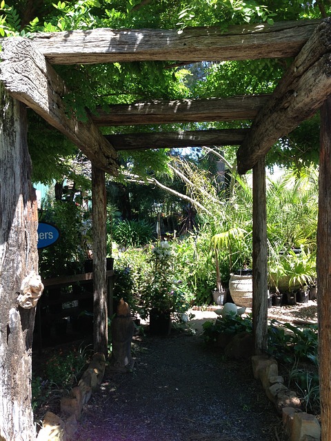 pergola-rustique