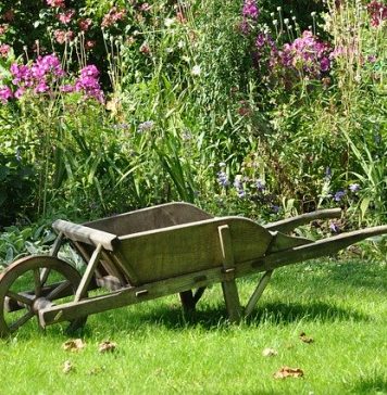que faire au jardin en août