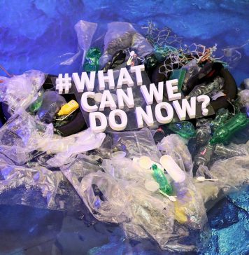 pollution plastique océans