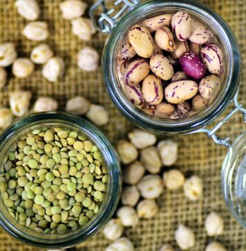 alimentation plus durable plus de légumineuses moins de viande