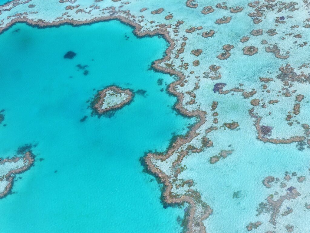 grande barrière de corail vue du ciel