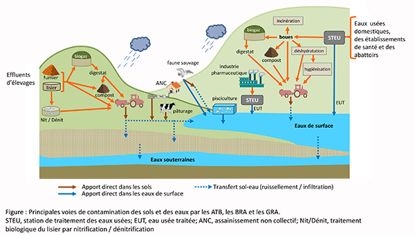 antibiorésistance et environnement